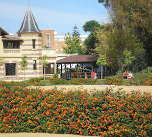 Królewska szkoła jazdy konnej