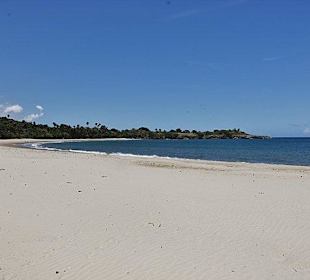 Tropical Beach Safari - Puerto Plata - DomRep Lifestyle - Ex