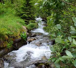 Flusslauf