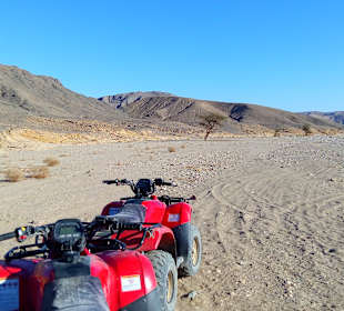 Quad Tour El Quseir