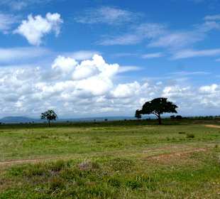 Im Ruaha Nationalpark gibt es auch weite Landschaften