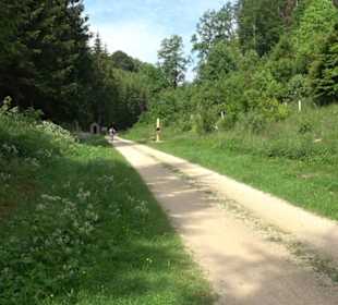 Phäno-Pfad Aichstetten