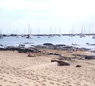 Stadtrundgang Punta del Este