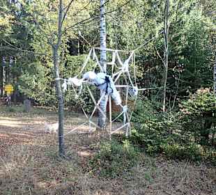 Naturpark Heidenreichsteiner Moor