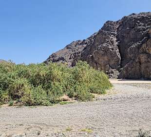 Wadi el Gemal National Park