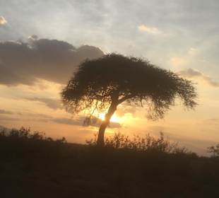 Tsavo West Nationalpark