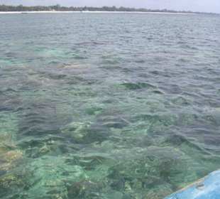 Ausflug Glasbodenboot Diani Beach