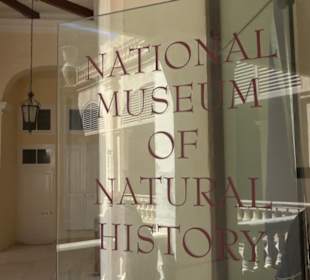 Naturhistorisches Museum