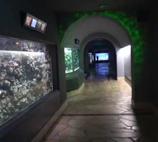 Tierpark Hellabrunn - Fische