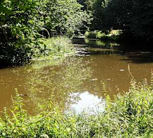 Impressionen aus dem Bürgerpark