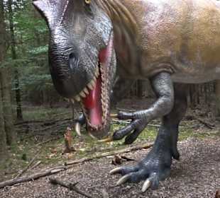 Dinosaurier Museum Altmühltal