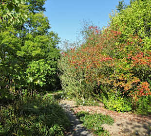 Rundgang durch den Botanischen Garten Kiel