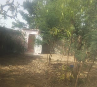 Gartenanlage