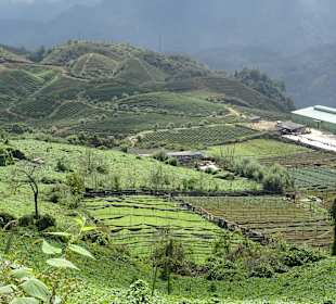 Auf dem Weg zum Wasserfall von Sapa