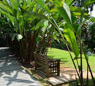 Botanischer Garten Singapur