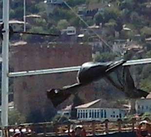 Roter Turm - Kizil Kule in Alanya