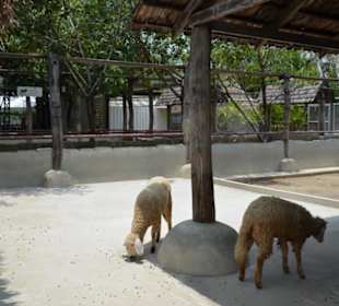 Dreamworld Bangkok