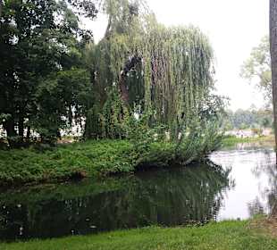 Palmiarnia Park Oliwski