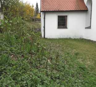 Martinskirche Hundersingen