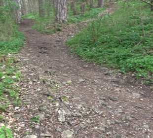 Wanderung rund um das Rusenschloss Gerhausen