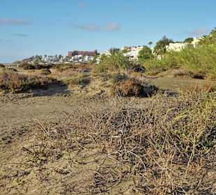 EIndrücke vom Strand Costa Calma