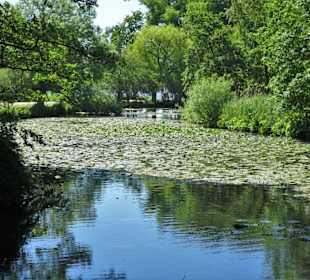 Eindrücke aus dem Alsterpark an der Außenalster