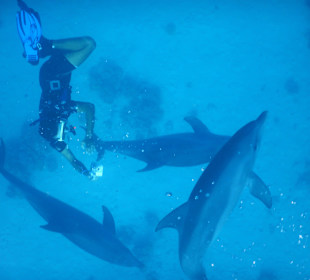 Sie spielen wirklich !