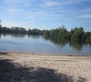 Am Rhein bei Germersheim
