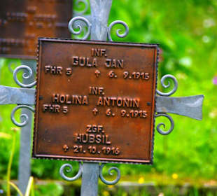 Der Plöckenpass 06-2011