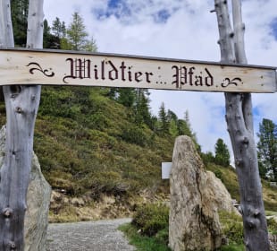 Wandern Aschau im Zillertal