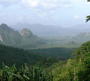 Khao Sok Nationalpark