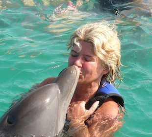 Schwimmen mit Delphin