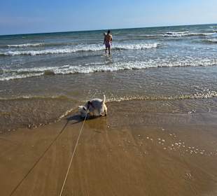 Bei schönen Seegang