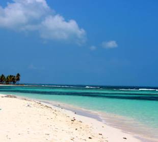 Saona VIP Ausflug mit Seavies