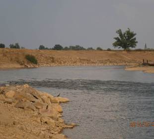 Crows on beside the water