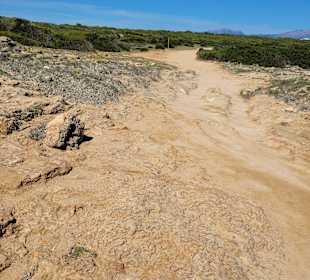 Wandern Can Picafort 