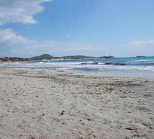 Schöner großer Strandbereich