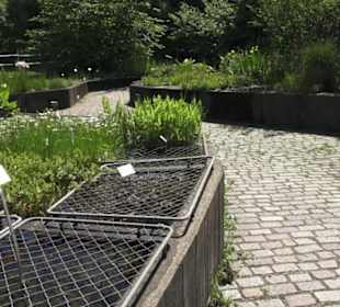 Botanischer Garten der Universität Zürich