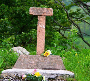 Der Plöckenpass 06-2011