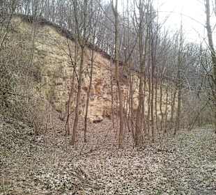 Wąwóz Korzeniowy dół