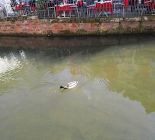 Wasserfall in der Stadt