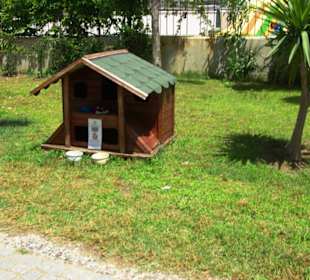 Überall Katzenhotels