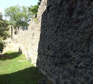 Burgruine Niederhaus