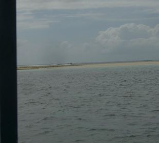 Ausflug Glasbodenboot Diani Beach