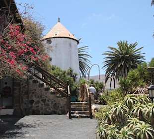 Museo Agricola el Patio