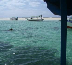 Ausflug Glasbodenboot Diani Beach