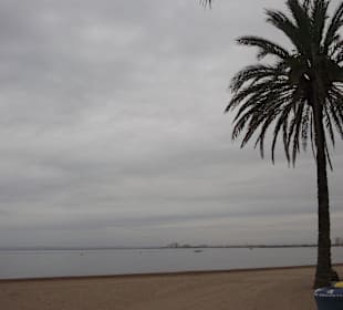 Plage de roses