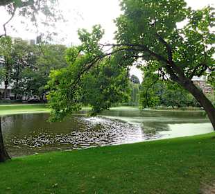 Blick auf den Weiher