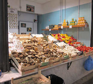 Pilze und Gemüse