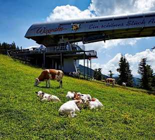 Bergstation Flying Mozart